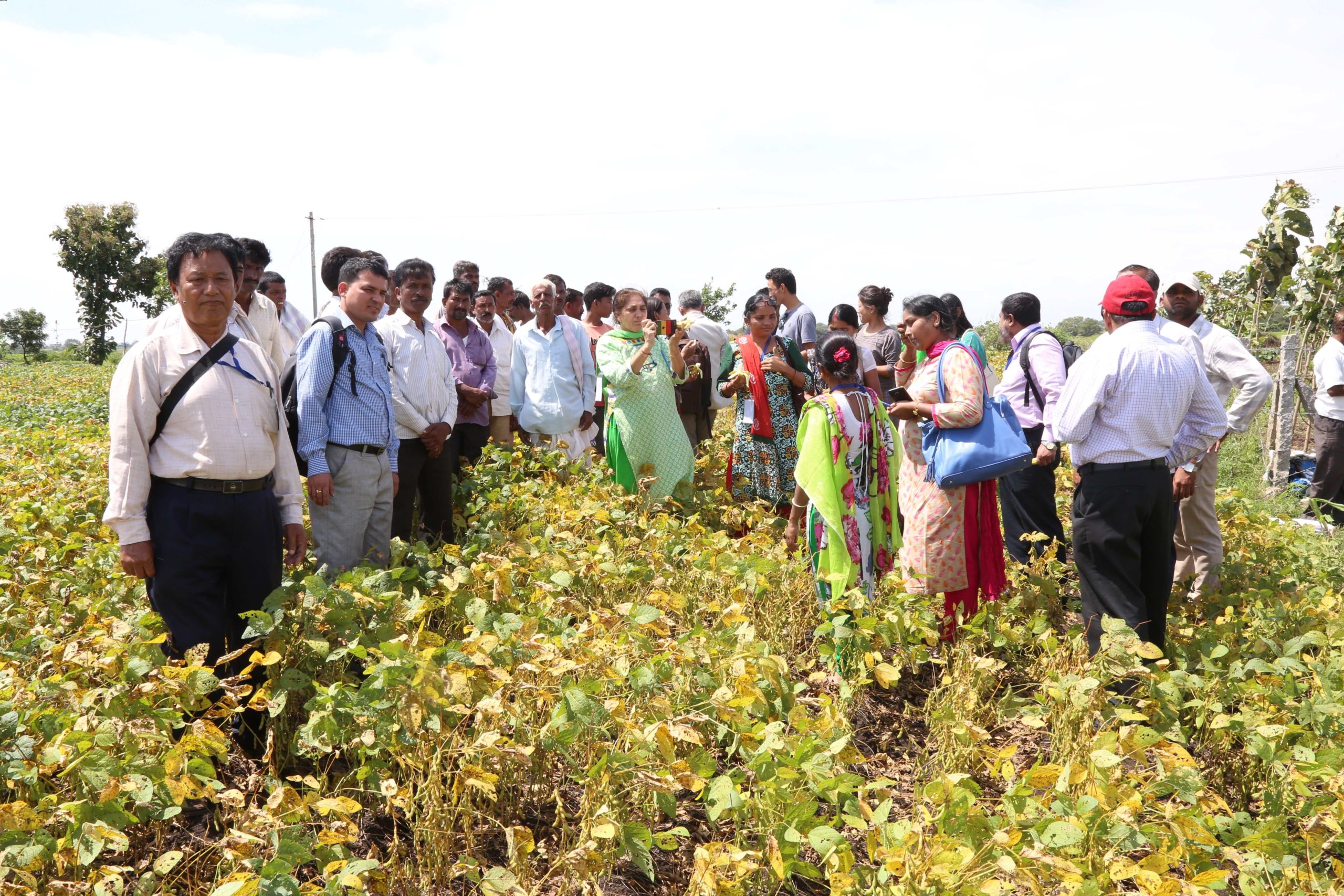 Farmer Training