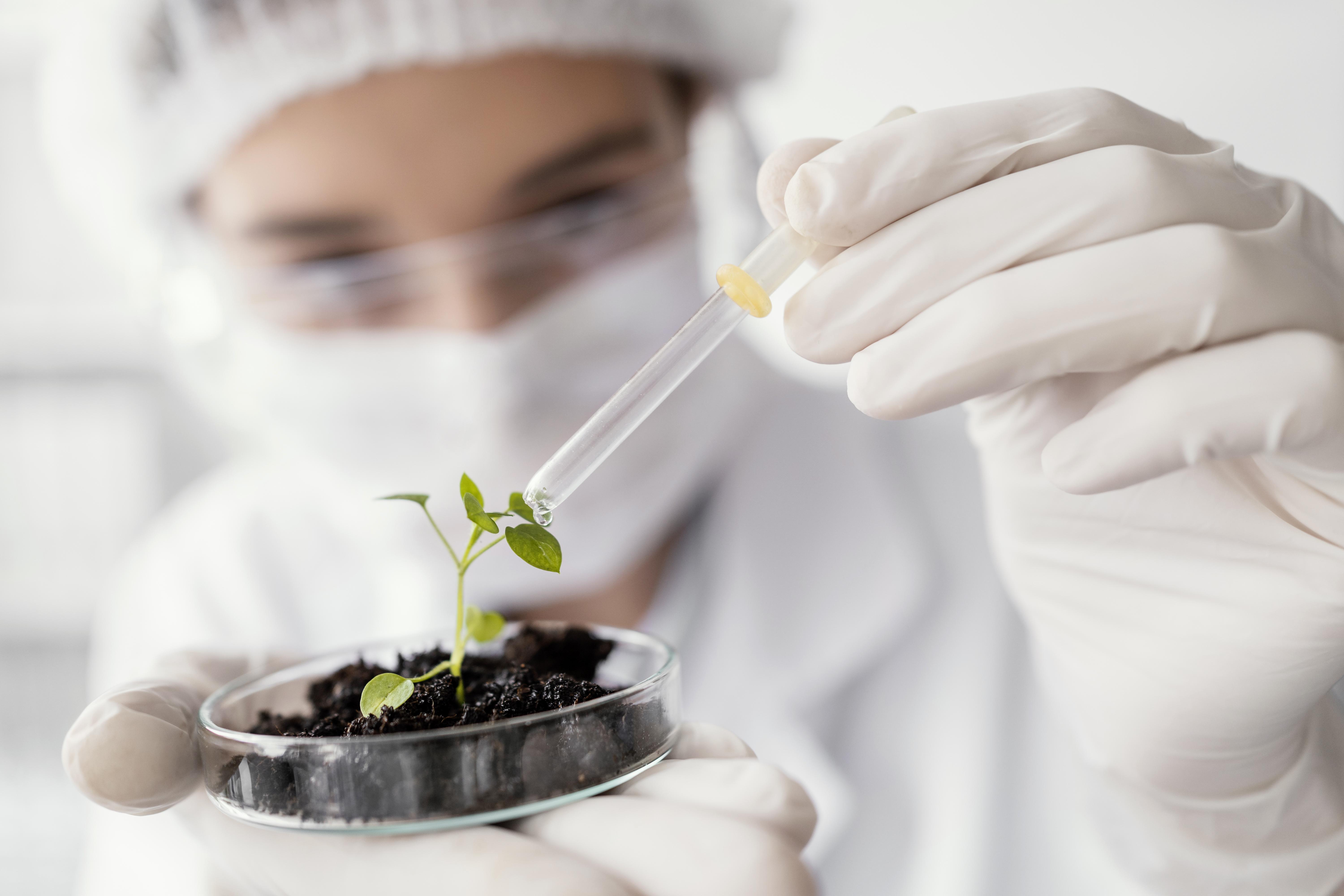 Seed Quality Testing