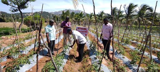 Field Trials